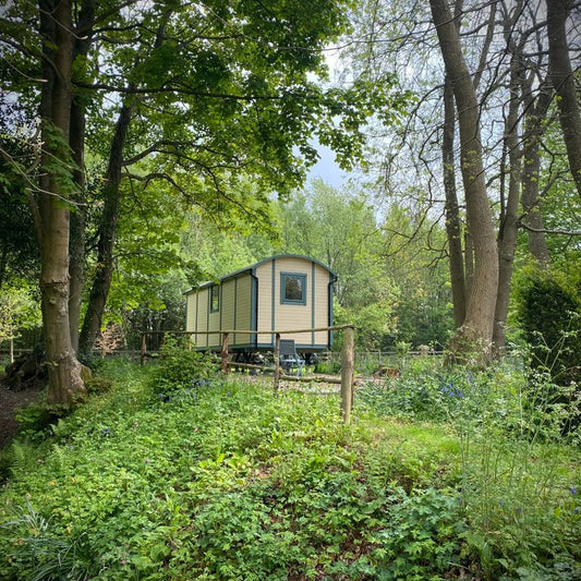 Stay At the Forest Edge in Kent eBike Drop off & Collection