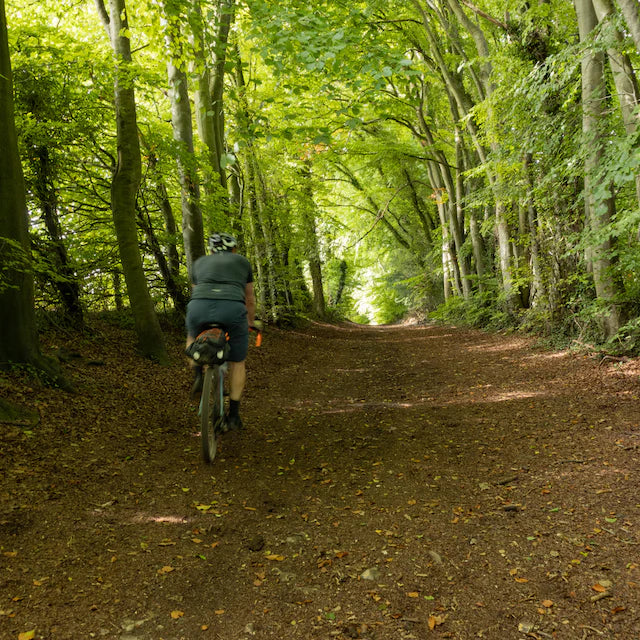 South Downs Way 156 km / 3 Days - Winchester to Eastbourne