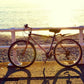 North Wales Coast eBike Hire