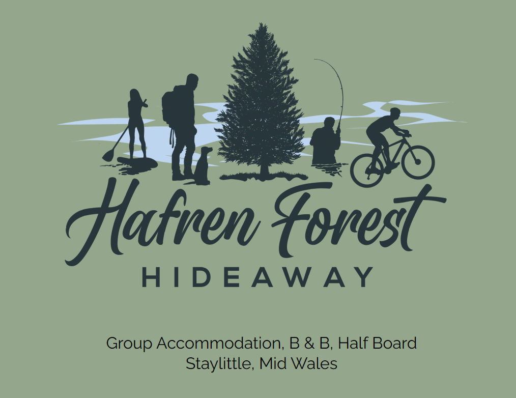 Hafren Forest Hideaway Llanbrynmair eBike Drop off & Collection